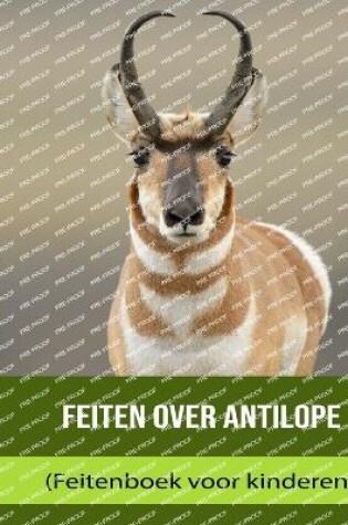 Cover of Feiten over Antilope (Feitenboek voor kinderen)