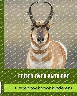 Book cover for Feiten over Antilope (Feitenboek voor kinderen)