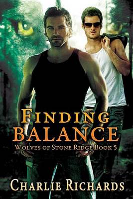Book cover for Finding Balance