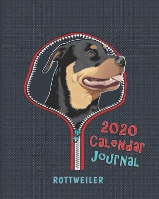 Book cover for Rottweiler