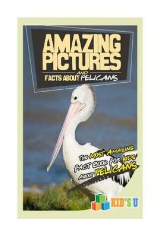 Cover of Amazing Pictures and Facts about Pelicans