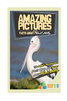 Book cover for Amazing Pictures and Facts about Pelicans