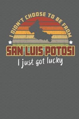 Book cover for I Didn't Choose to Be From San Luis Potosi I Just Got Lucky