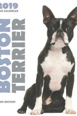 Cover of Boston Terrier 2019 Dog Calendar (UK Edition)