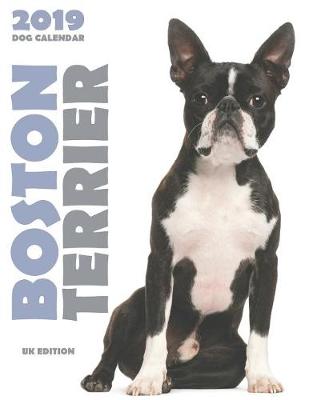 Book cover for Boston Terrier 2019 Dog Calendar (UK Edition)