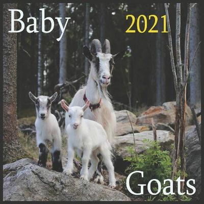 Book cover for Baby Goats