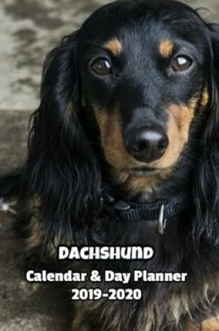 Cover of Dachshund Calendar & Day Planner 2019-2020