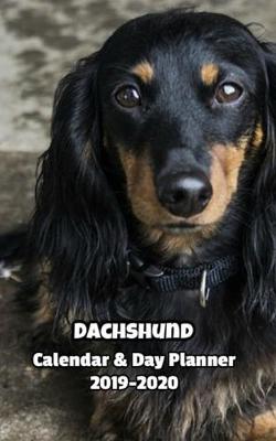 Book cover for Dachshund Calendar & Day Planner 2019-2020