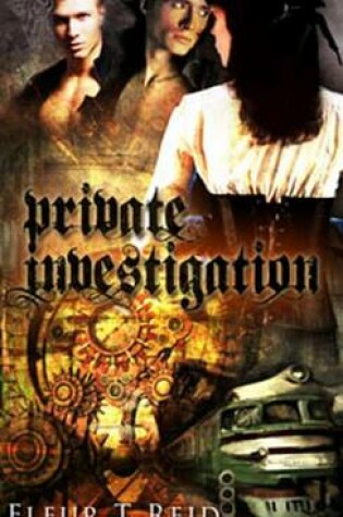 Cover of Private Investigation