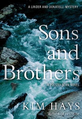 Book cover for Sons and Brothers