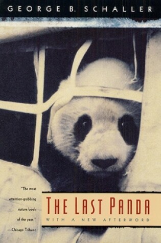 Cover of The Last Panda