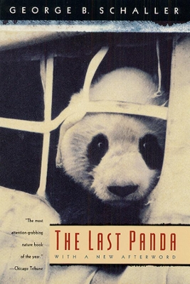 Book cover for The Last Panda