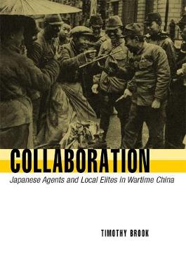 Book cover for Collaboration