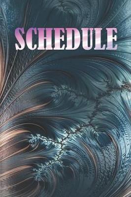 Book cover for Schedule