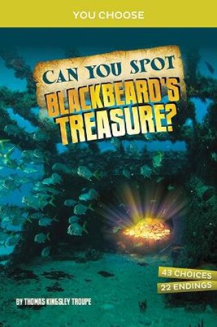 Cover of Can You Spot Blackbeard's Treasure