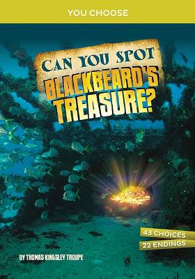 Book cover for Can You Spot Blackbeard's Treasure