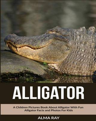 Book cover for Alligator