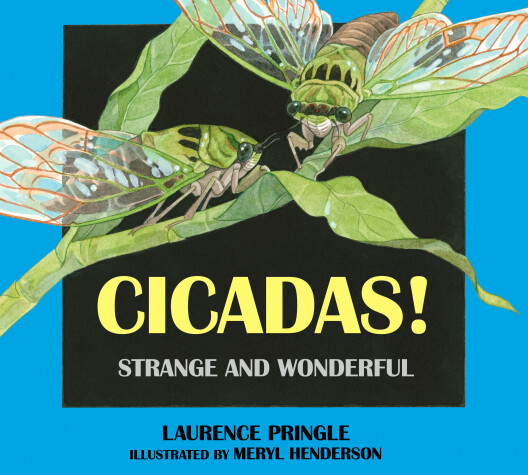 Book cover for Cicadas!