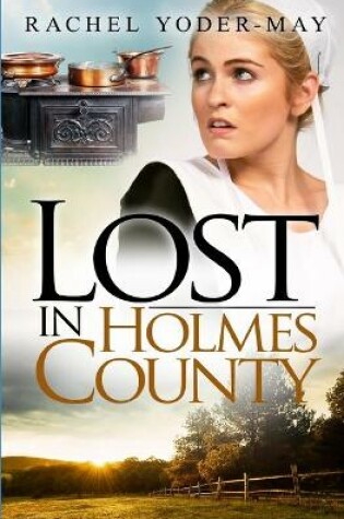 Cover of Lost in Holmes County