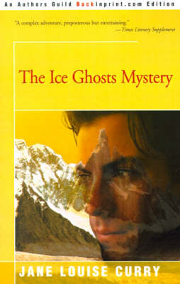 Book cover for The Ice Ghosts Mystery