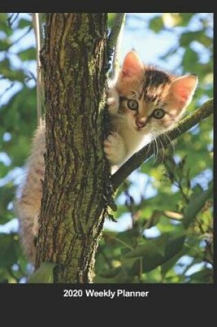 Cover of Plan On It 2020 Weekly Calendar Planner - Kitten Up A Tree - Peek A Boo I See You