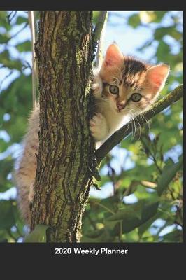 Book cover for Plan On It 2020 Weekly Calendar Planner - Kitten Up A Tree - Peek A Boo I See You