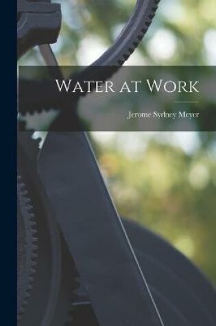 Cover of Water at Work