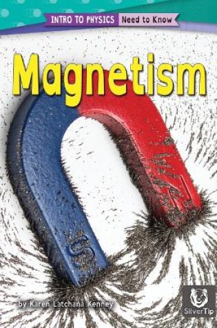 Cover of Magnetism