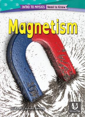 Cover of Magnetism