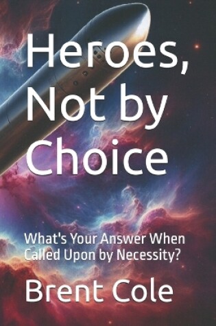 Cover of Heroes, Not by Choice