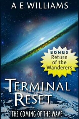 Cover of Terminal Reset