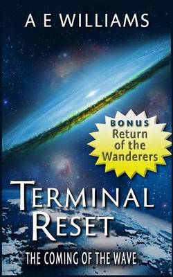 Cover of Terminal Reset