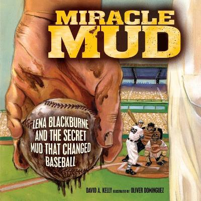 Book cover for Miracle Mud