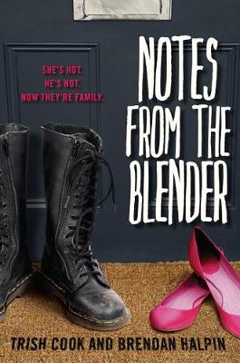 Book cover for Notes from the Blender