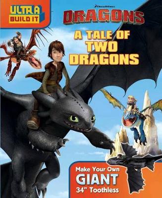 Cover of DreamWorks Dragons: A Tale of Two Dragons, Volume 2