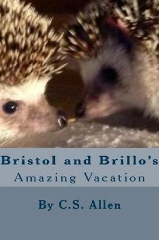 Cover of Bristol and Brillo's Amazing Vacation