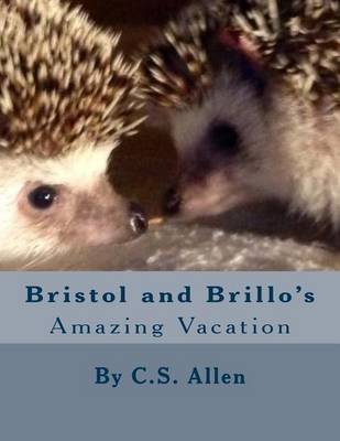 Book cover for Bristol and Brillo's Amazing Vacation