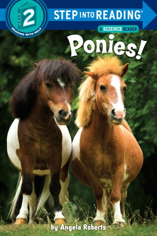 Book cover for Ponies!