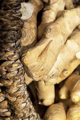 Book cover for Harvested Ginger Root in a Basket, for the Love of Food