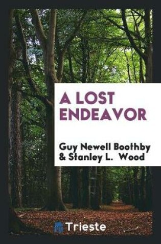 Cover of A Lost Endeavor