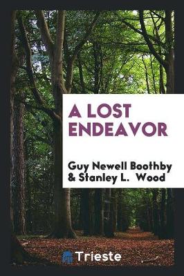 Book cover for A Lost Endeavor