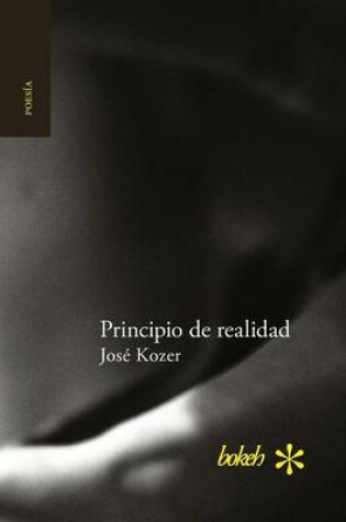 Cover of Principio de realidad