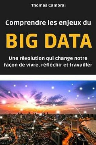 Cover of Comprendre les enjeux du Big data