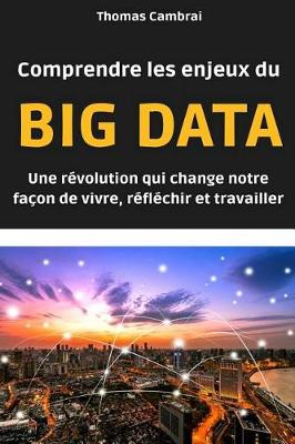 Book cover for Comprendre les enjeux du Big data