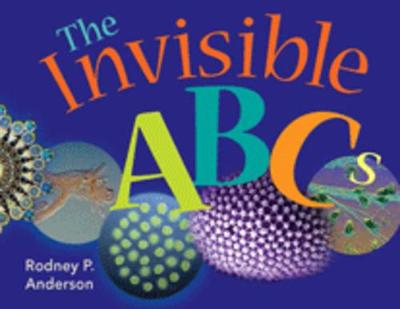 Book cover for The Invisible ABCs