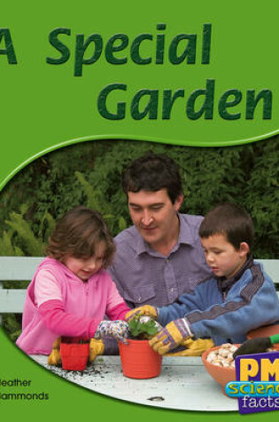 Cover of A Special Garden