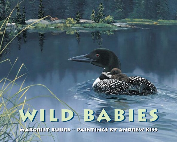 Book cover for Wild Babies