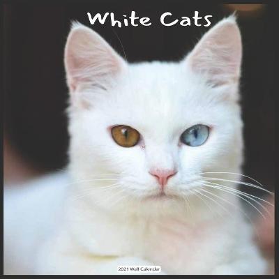 Book cover for White Cats 2021 Wall Calendar
