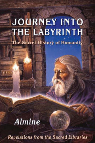 Cover of Journey into the Labyrinth