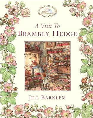 Book cover for A Visit to Brambly Hedge